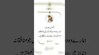 Ajki bat
