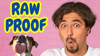 Is Raw Dog Food Safe? - New Explosive Study EXPOSES FEDIAF & AAFCO