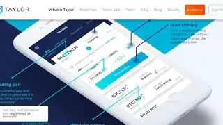 smarttaylor.io обзор ICO