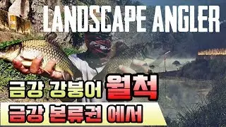 [풍낚]붕어낚시 금강 강붕어 월척