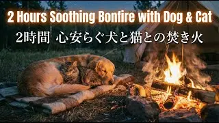 Cozy Bonfire Ambience with Sleeping Cat & Dog | 2 Hours ASMR