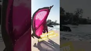 উড়া ঢুরা নাচ Meherul Official&trade; #s23ultra #shortvideo #smartphone #viral #iphone