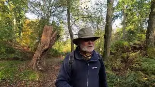 Bures and Arger Fen: The Complete Walk