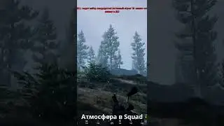 Атмосфера в Squad #military #gaming #Squad