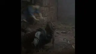 That is very disrespect ... [ A plague tale : requiem ] #shorts #BattleDrag