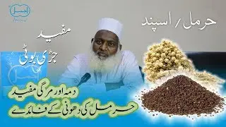 Harmal | harmal ki dhoni | Dama aur Mirgi me mufeed | Asabi Kamzoori k liye behter