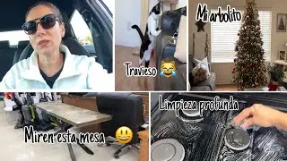 LIMPIEZA/PUSE LA CORONA EN LA PUERTA /EN LA SEGUNDA 