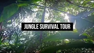 Jungle Survival Tour | Activities Near Manaus