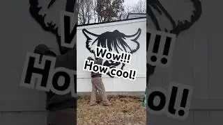 Угадайте, как мы это сделали?!?!