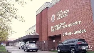 Dog Guides Open House