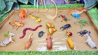 Jurassic World Dinosaurs and Insects Stuck in Mud Adventure 🦕🐍🐞 Learning Insects for Kids