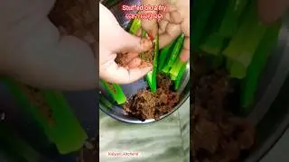 ଗୋଟା ଭେଣ୍ଡି/Stuffed okra fry/stuffed ladyfinger Recipe |  #shorts #streetfood @kalyani_kitchen8
