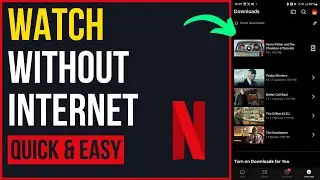 How to Watch Netflix WITHOUT Internet