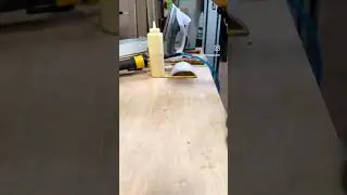 WALRUS OIL 🦭BEST WOOD FINISH #woodworker #woodmallet #woodfinish #walrusoil #cabinetmaker #maker