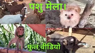 उत्तर बिहार का सबसे बड़ा पशु मेला। uttar Bihar ka Sabse bara mela. full video .@JIABHIJEETJI