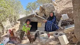 Grandma completes chicken house project
