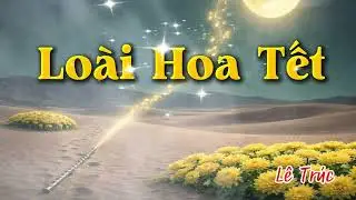 Loài Hoa Tết