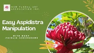 Easy Aspidistra Manipulation with Mary Fairlie-Cuninghame Gloucester 2023