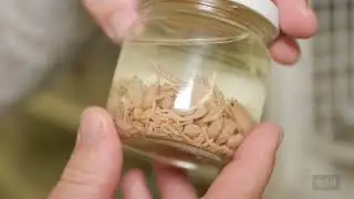 Krebstieren auf der Spur