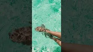 Dive Into Real Estate