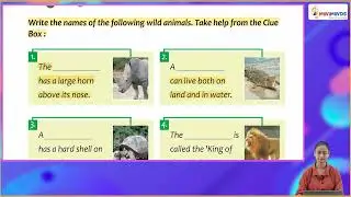 Ch 9 | Miniminds | Knowledge Tree | Class 01 | Forest Life | For children