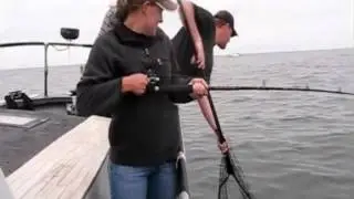 How we do it at Tommy Cod Fishing Charters!