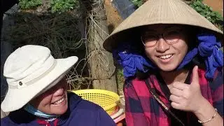 Da Lat: Waterfalls, Strawberry Farms, and Chewing on Bugs