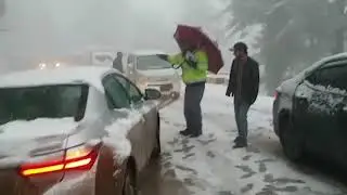 Roads Leading To Murree Open For Tourists: Official
