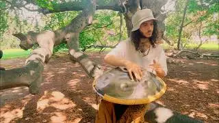 Birds sing the TRUTH I Handpan Music I TOV I 7 minutes Meditation