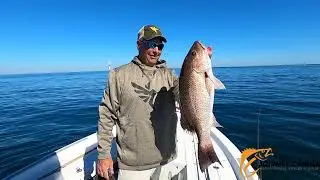 Epic Day of Snapper Fishing from Carrabelle, FL