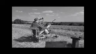 2cm FlaK 30 Tarnanstrich