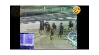 🔅  Carrera Comun 1980 ZARPADORA 🔅 Jinetes NO ganadores de mas de 5 1979