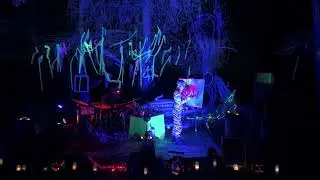 Neon Butts (Normal Speed) Halloween Swamp Fest Live Music and Live Painting Performance