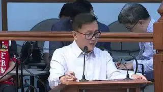 Hontiveros calls on the Senate to deny Filipino citizenship to Chinese national with POGO ties