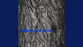 Arrival of Love