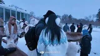 Girl slips in snow while surrounded by deer in Jilin, China