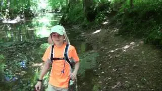 Karber's Ridge Rd. to Iron Furnace
