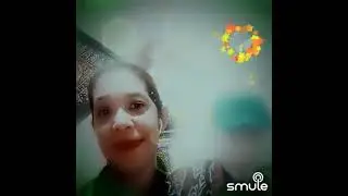 @burung camar samsul islam pa