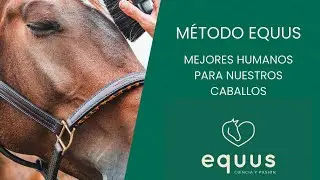 MÉTODO EQUUS PARA CONVERTIRTE EN MEJOR HUMANO PARA TU CABALLO