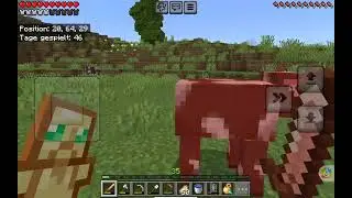 Minecraft Risiko folge 4