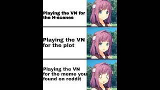 Vaush's Take On Visual Novels