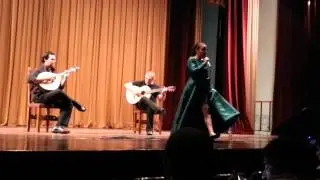 Mara Pedro - Tarde Triste no Campo Pequeno