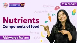 Nutrients - Components of Food Class 6 Science Concept Explained | BYJU'S - Class 6