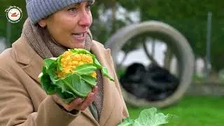 Duetto in cucina -  