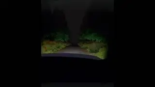 Driving in the night