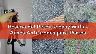Reseña del PetSafe Easy Walk - Arnés Antitirones para Perros, 4 Puntos de Ajuste, Adiestramiento de