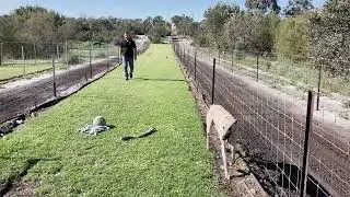 We Are Dog People | The Withers, Greyhound Trainers