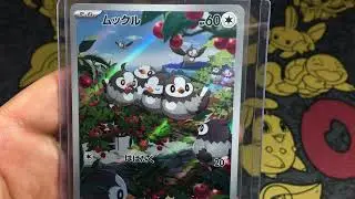 Rare Pokemon full art illustration Starly from Scarlet & Violet #pokemon #pok&eacute;montcg
