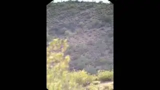 243 wssm vs. Milk jug @ 1005 yards