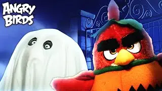 Angry Birds | Hide And Seek! 🎃👻